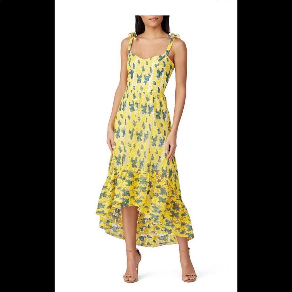 Yellow & Green Dress The Population Wren Dress - size Large